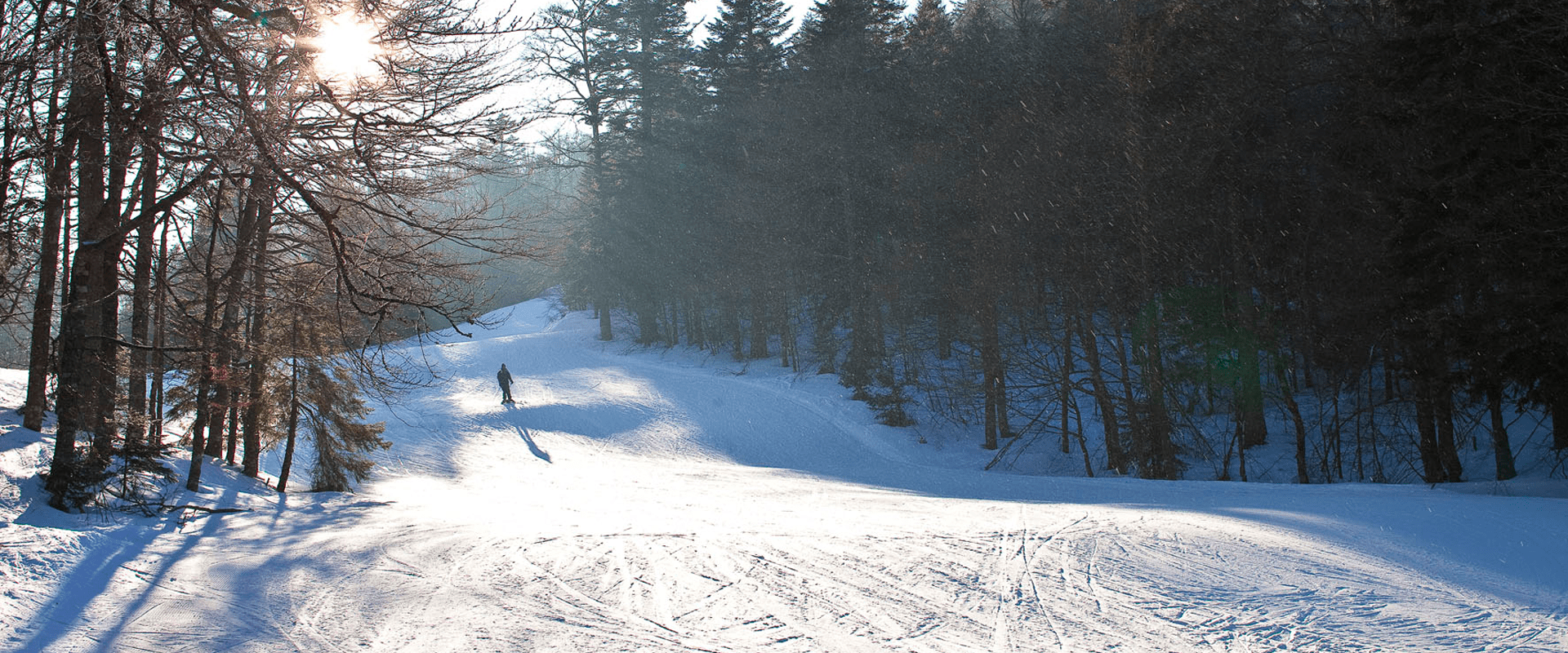 Les Vosges - ski