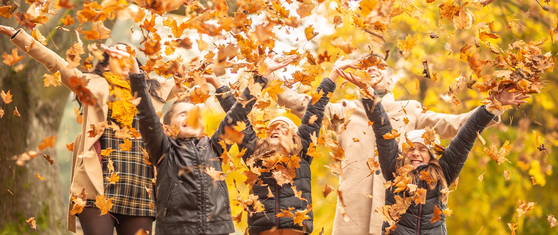 10 raisons d'aimer l'automne