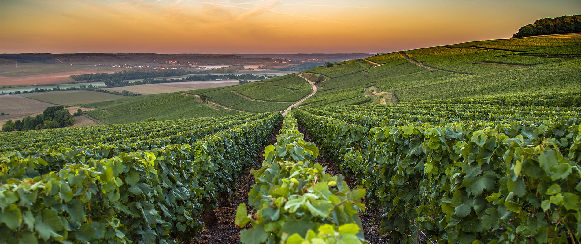 Préparez vos vacances dans la Résidence Les Demeures Champenoises à Épernay