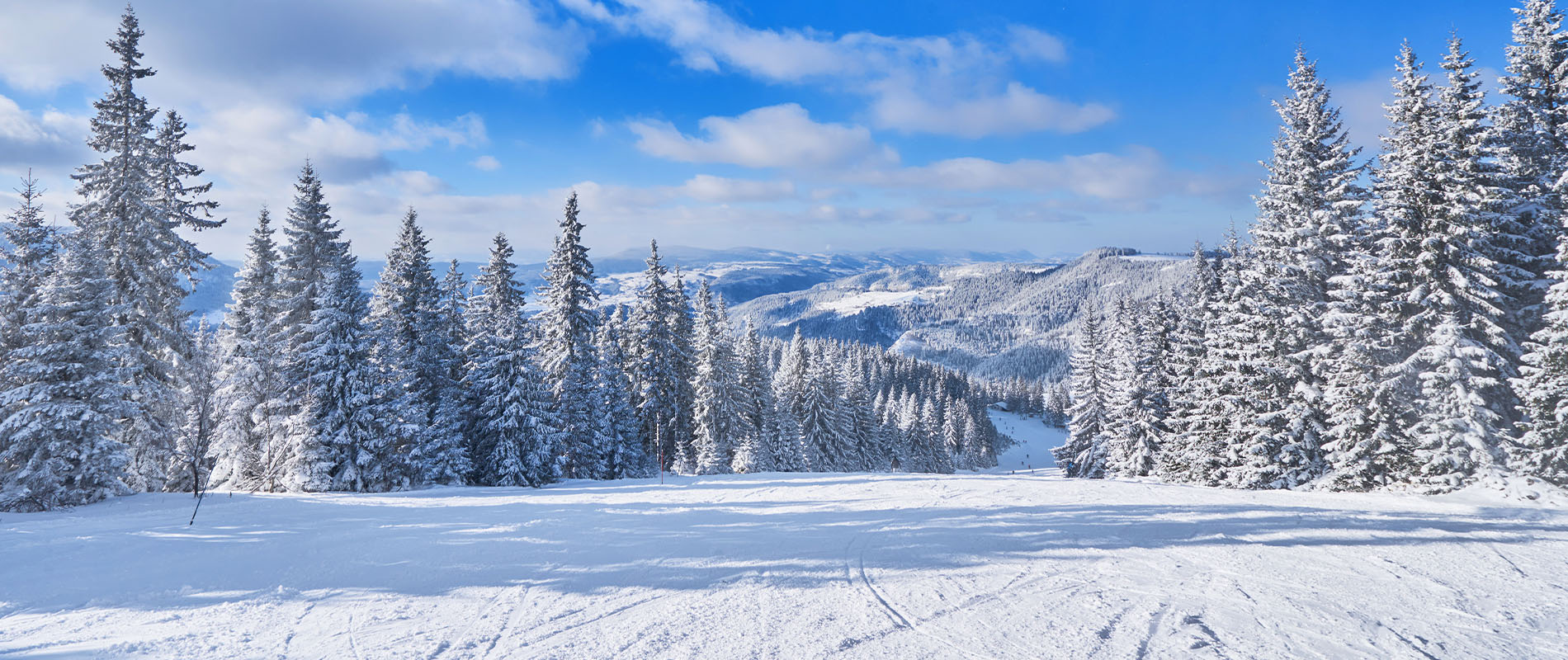 préparez vos vacances sur la station de ski les 2 alpes