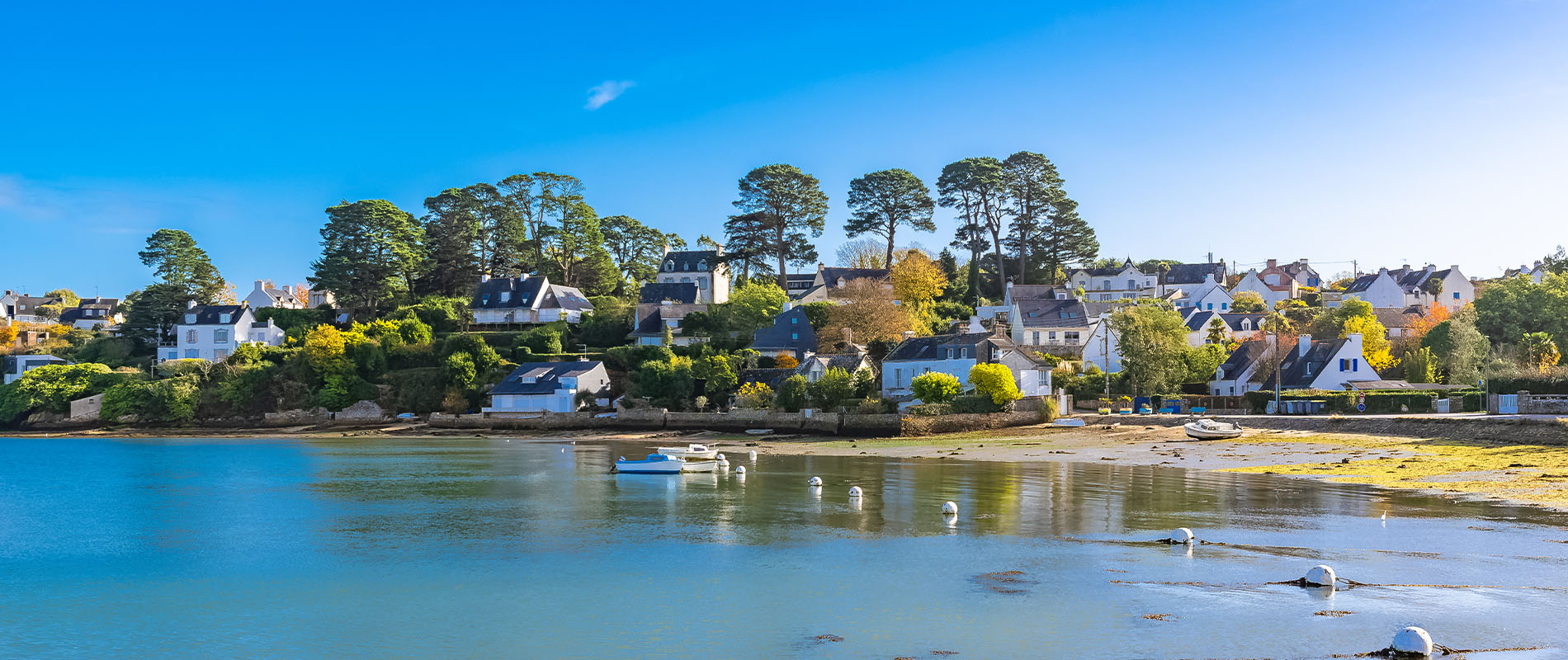 Que faire en Bretagne ? Photo de l'île aux Moines dans le Morbihan