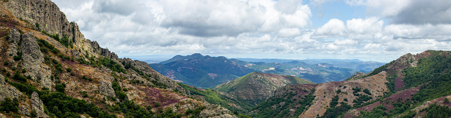 Languedoc-Roussillon