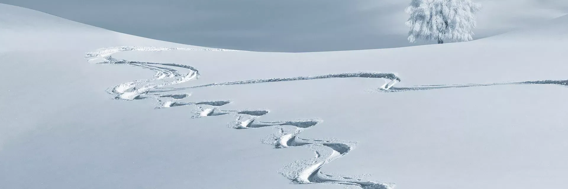 Location vacances en février