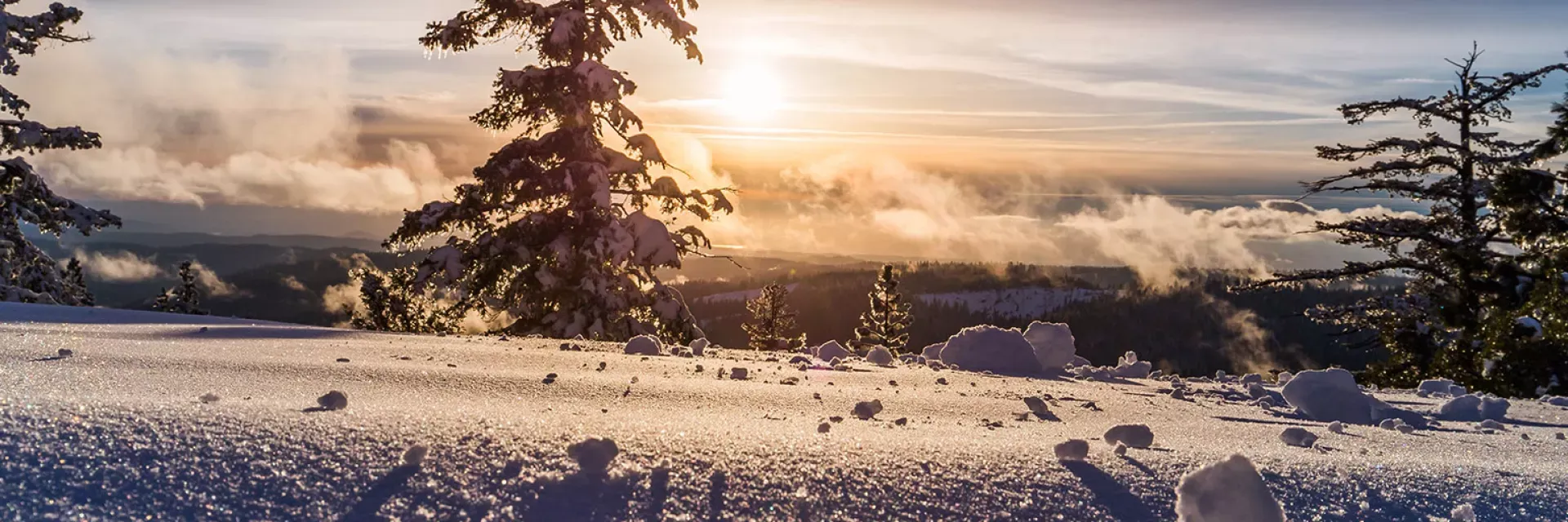 Votre location de vacances pour Noël