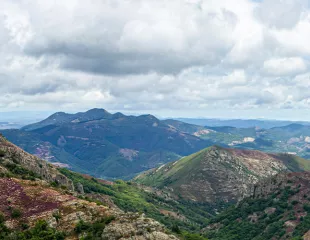 Languedoc-Roussillon