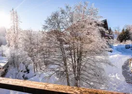 Grand Morillon à Morillon - Studio