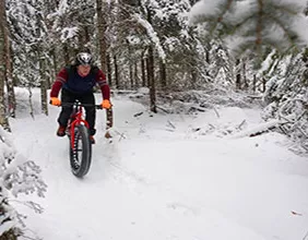 Fat bike