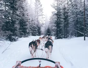 Balade en chien de traîneau Les 2 Alpes Venosc Village