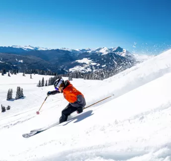 Tout schuss sur les grands domaines skiables des Alpes du Nord