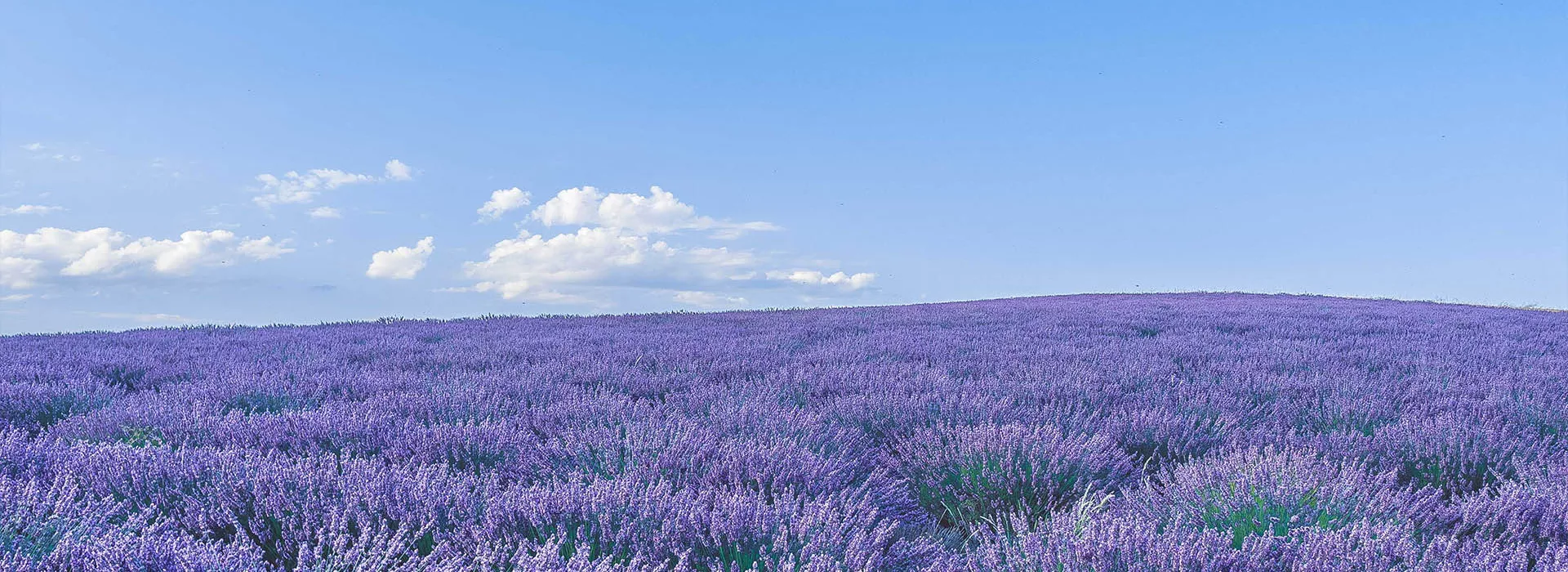 Où partir en vacances en France ?